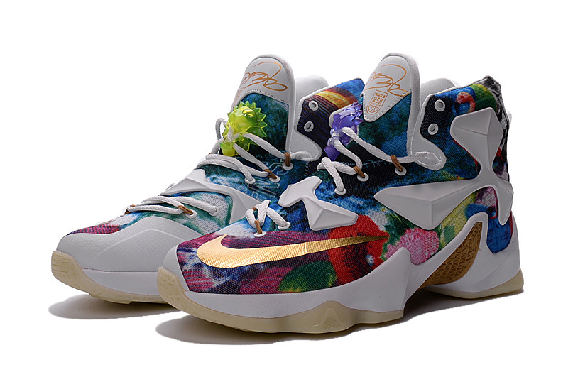 Nike Lebron James 13 25K Follower Print Shoes