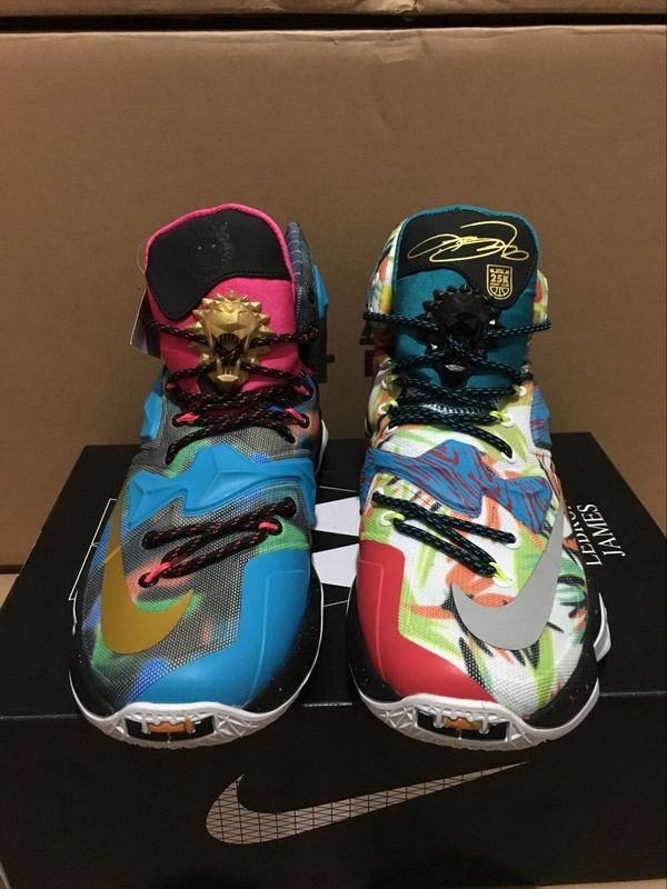 What the LBJ of Lebron 13 Shoes